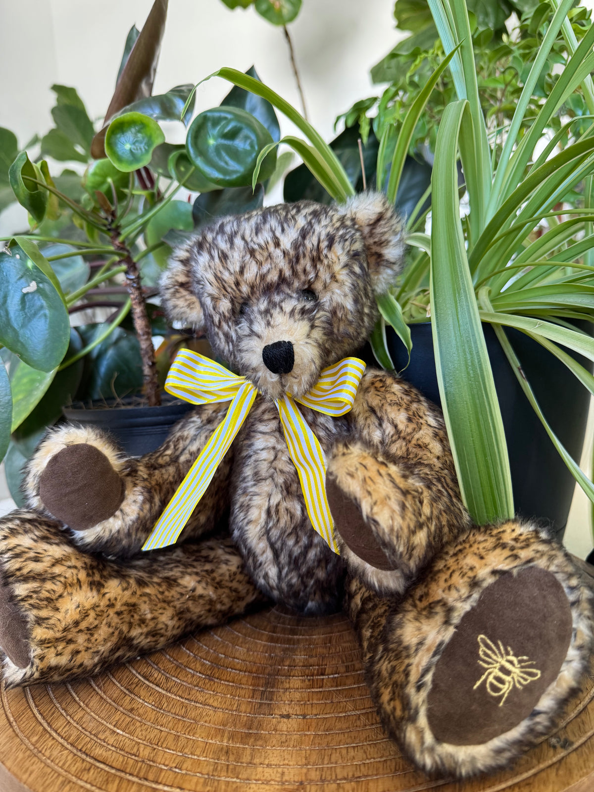 Milo Teddy Pattern (40cm)