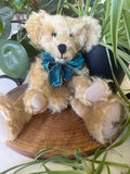Cali Teddy Pattern (40cm)